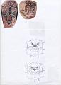 Insetti ecc (36)